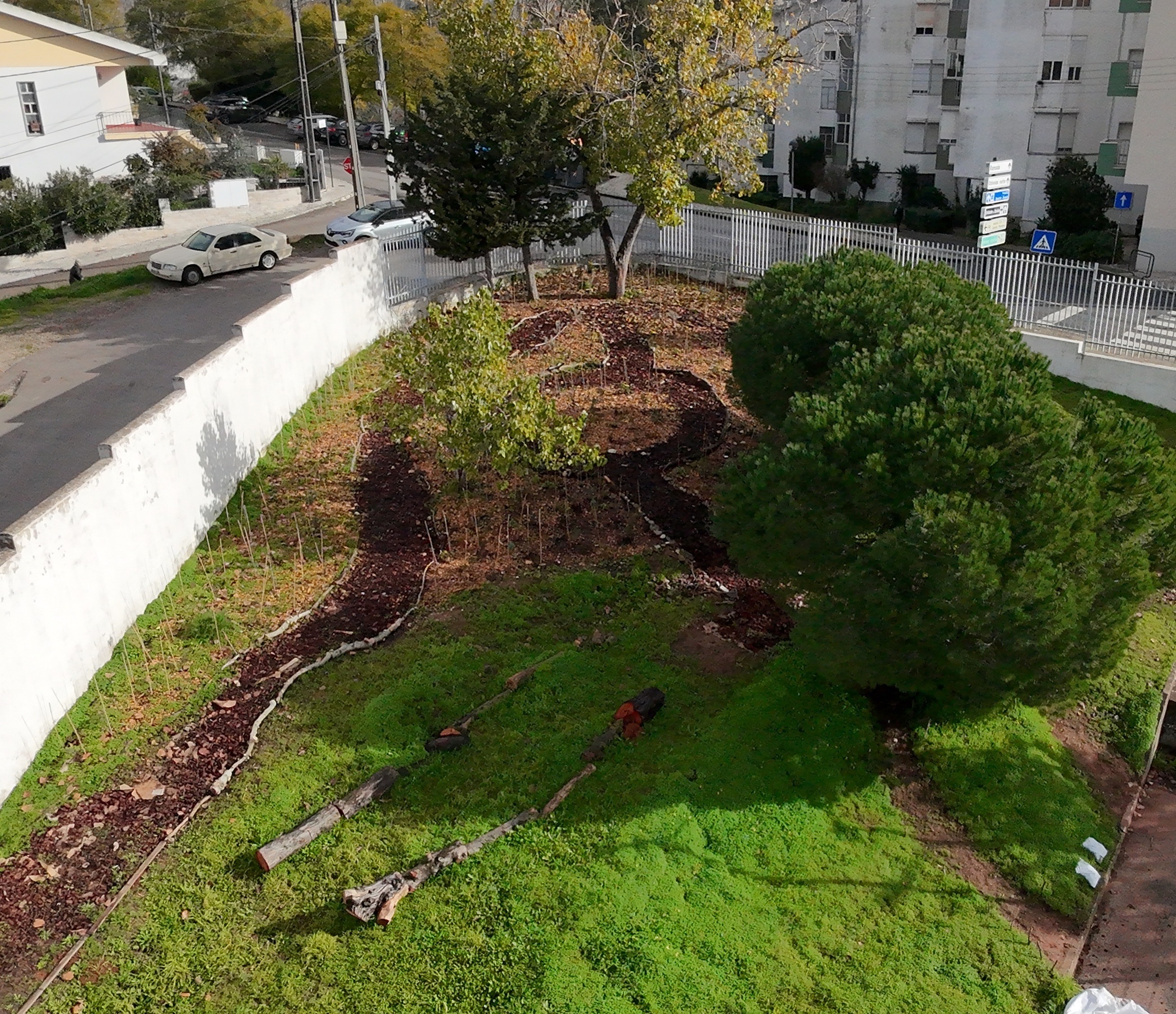 Floresta em Odivelas