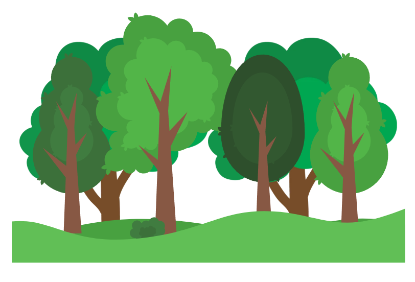 Floresta desenvolvida e autosustentável