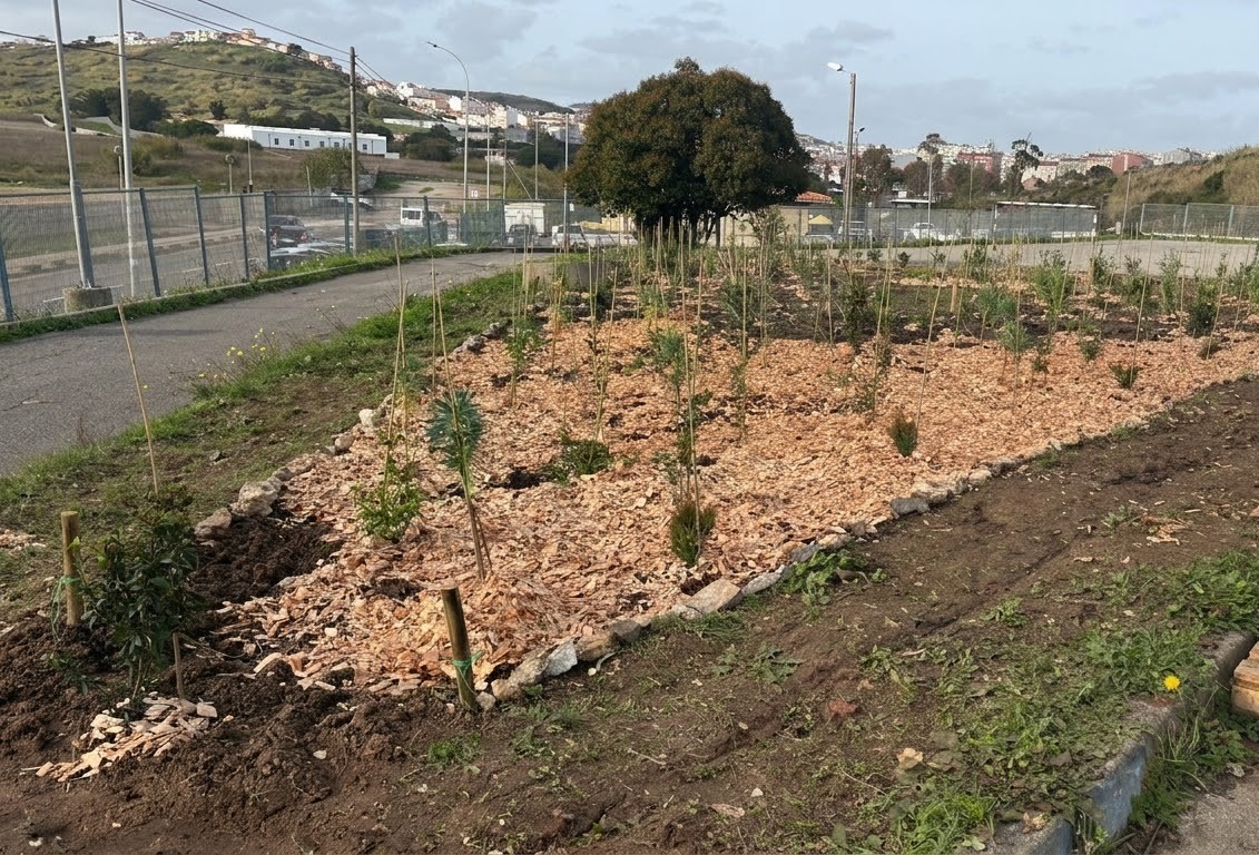Floresta em Alfornelos